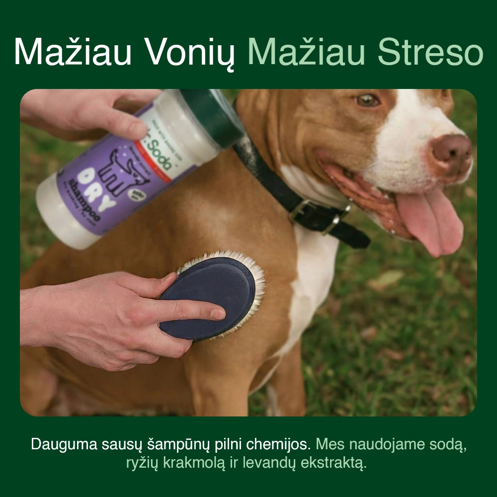 Dry Dog Shampoo
