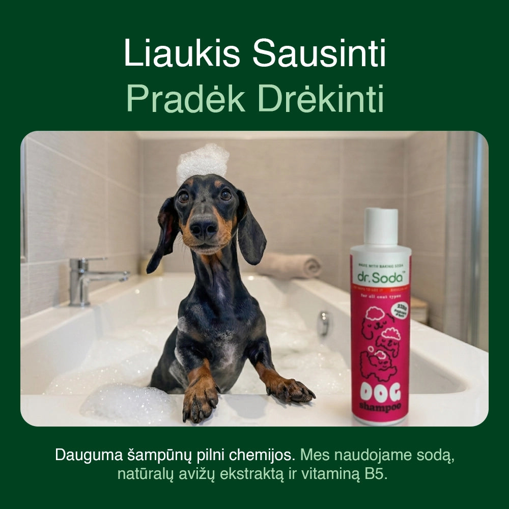 Gentle Dog Shampoo